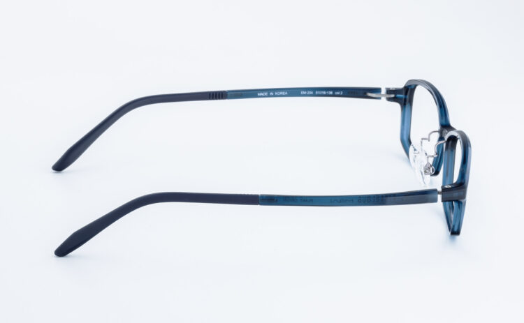 アイクラウドミライ EM-204-2